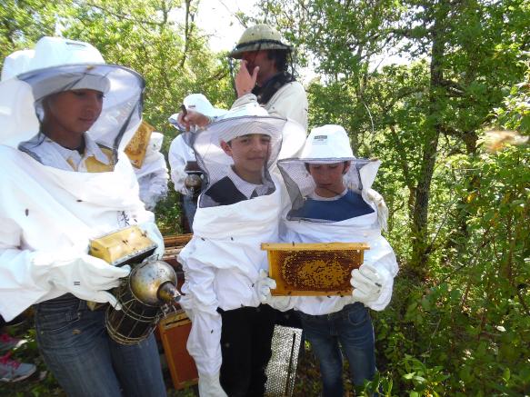 Visite pédagogique au rucher de Castels