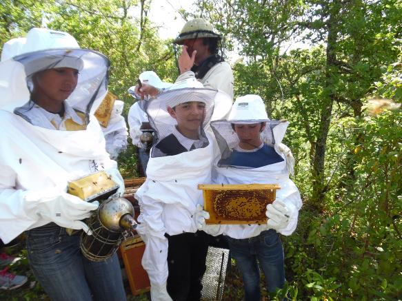 Visite pédagogique au rucher de Castels