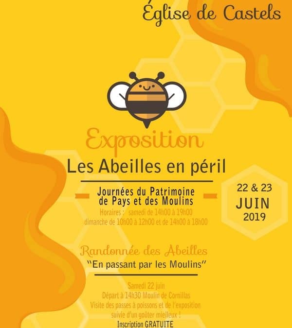 En passant par les moulins l’expo des abeilles en péril