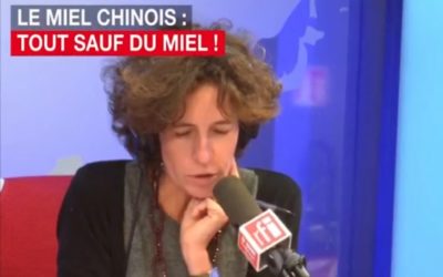 Extrait de l’émission tv RFI sur les faux miels